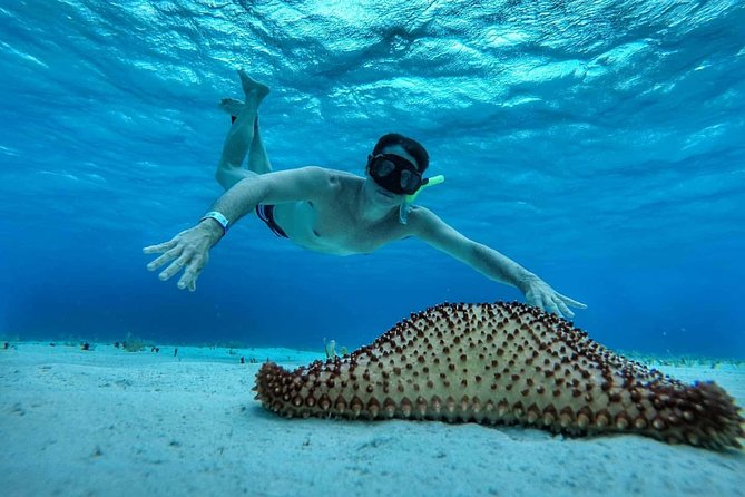 Explore El Cielo in Cozumel. Snorkel in 3 Different Reefs & Visit Cielito Beach. - Frequently Asked Questions
