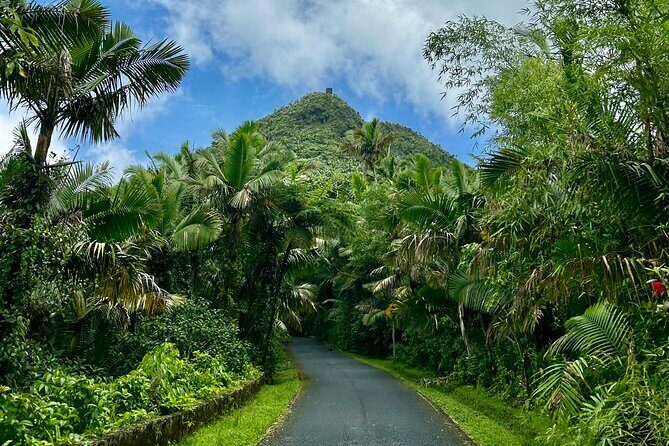 Explore El Yunque National Forest Guided Nature Adventure - Practical Details and Considerations