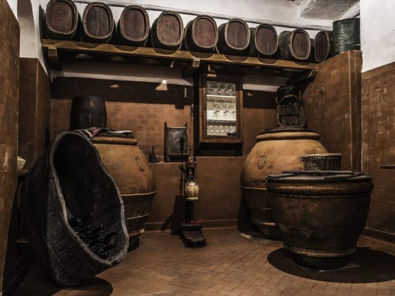 Explore Elegance: Savor 3 Exquisite Wines at Tenuta Bossi - Discover the Vineyard and Olive Groves