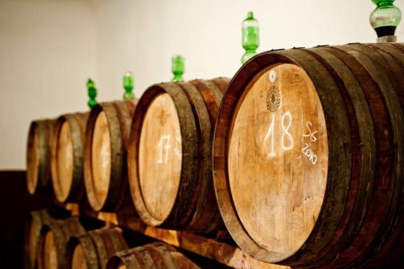 Explore Elegance: Savor 3 Exquisite Wines at Tenuta Bossi - Seasonal Selections of Tuscan Wines