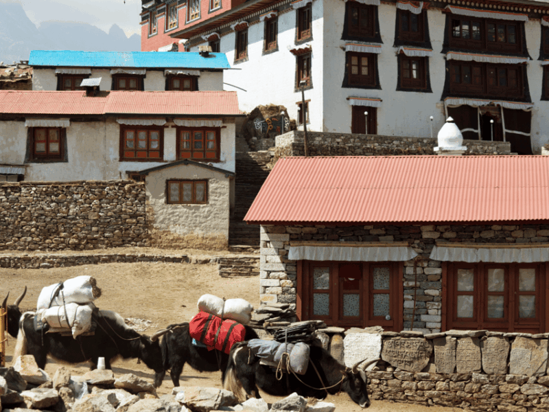 Explore Everest in 5 Days: Kathmandu to Namche Bazaar Trek - Day 2: Phakding to Namche Bazaar