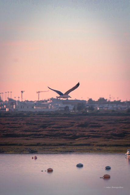 Explore Faro Through the Lens: Guided Photo Tour - Itinerary Highlights