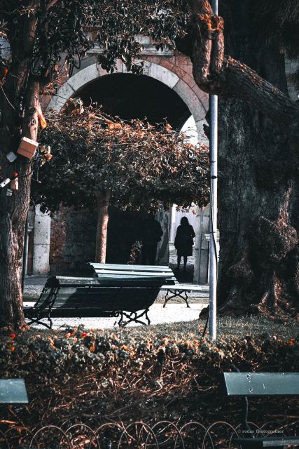 Explore Faro Through the Lens: Guided Photo Tour - Meeting Point