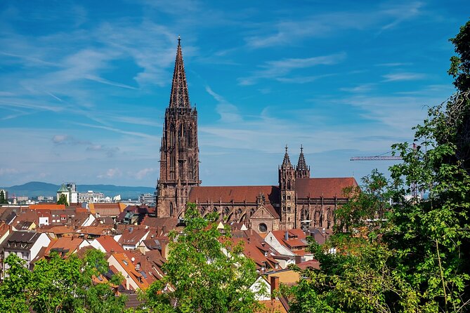 Explore Freiburg'S Art and Culture With a Local - Ratings and Reviews