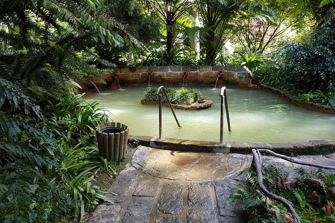 Explore Furnas by Van - Full Day Tour With Lunch and Thermal Baths - Discovering Terra Nostra Park