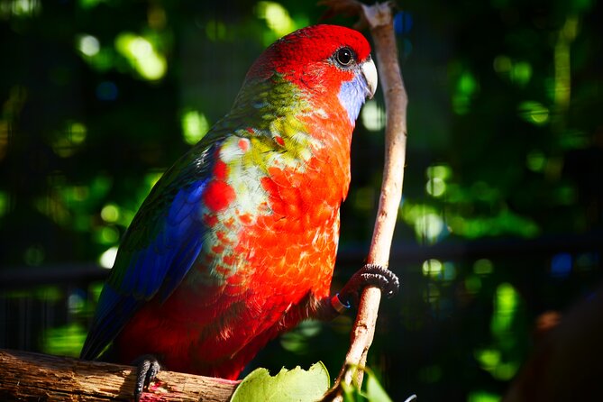 Explore Gardens & Galleries Filled With Incredible Art, Matakana - Reviews and Ratings
