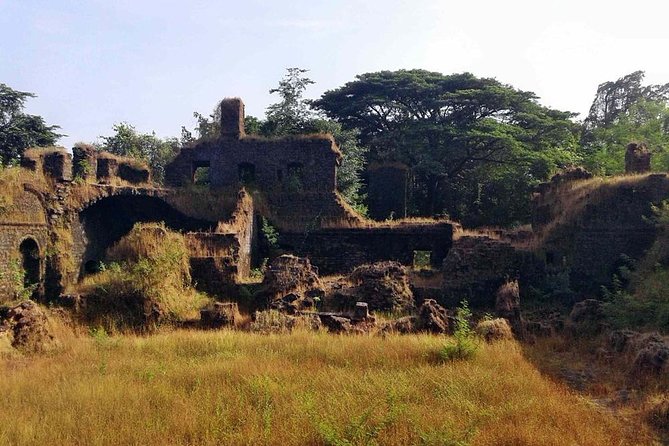Explore Goa in a Nutshell - Exploring South Goa