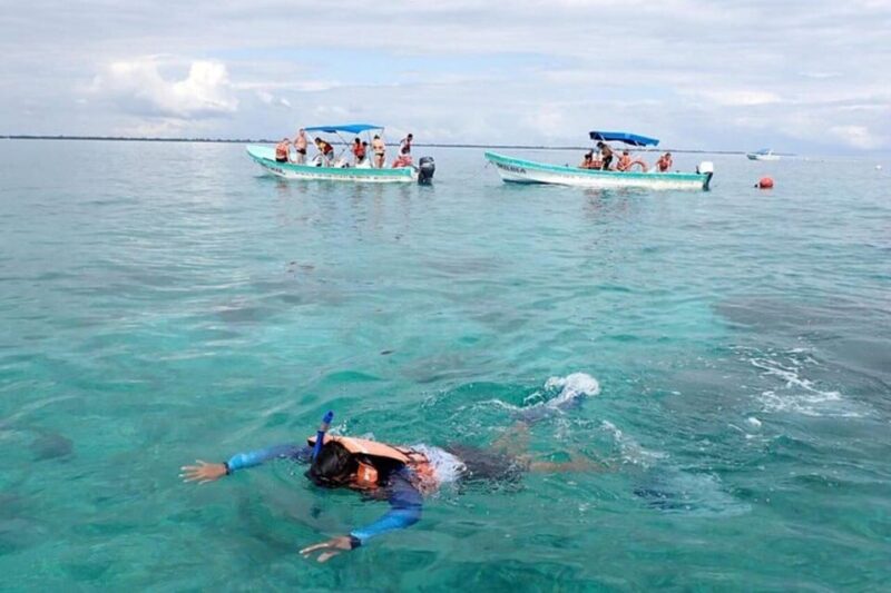 Explore Great Sian Kaan Island Only From Cancun - Lunch and Refreshments