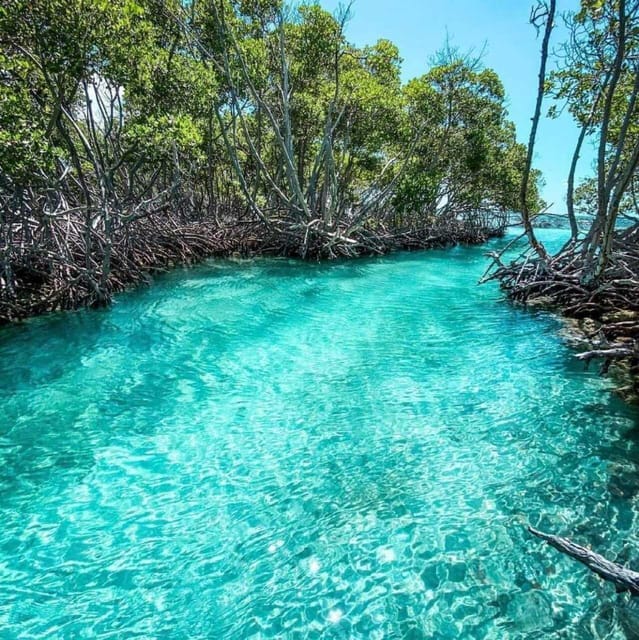 Explore Great Sian Kaan Island Only From Cancun - Important Considerations