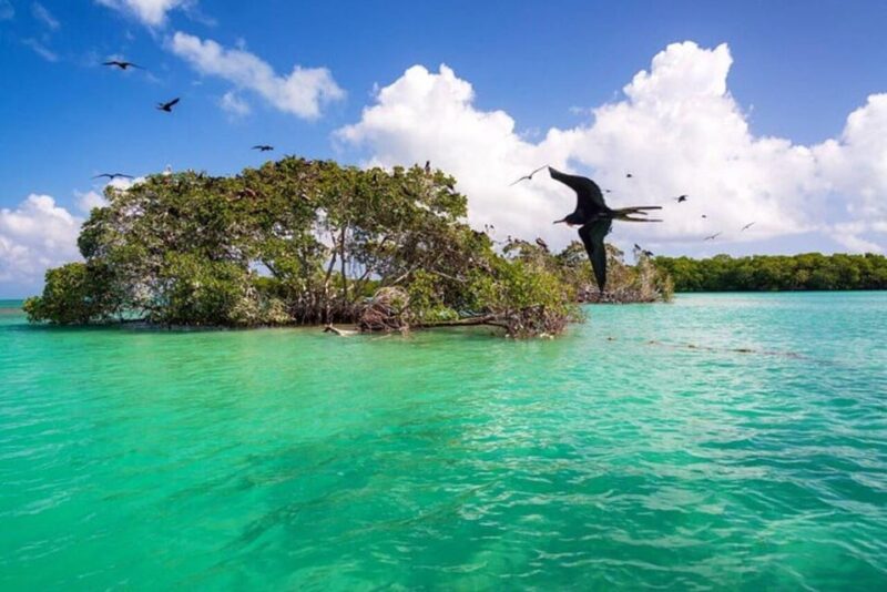 Explore Great Sian Kaan Island Only From Playa Del Carmen - Preparation and Restrictions