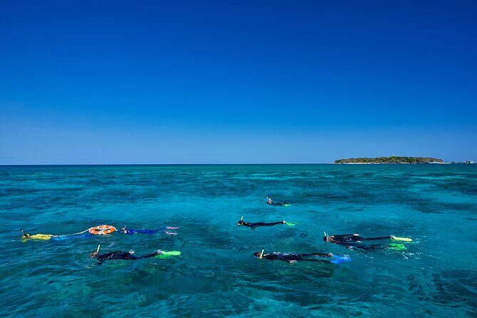 Explore Green Island with Diving options from Cairns - Analyzing the Value
