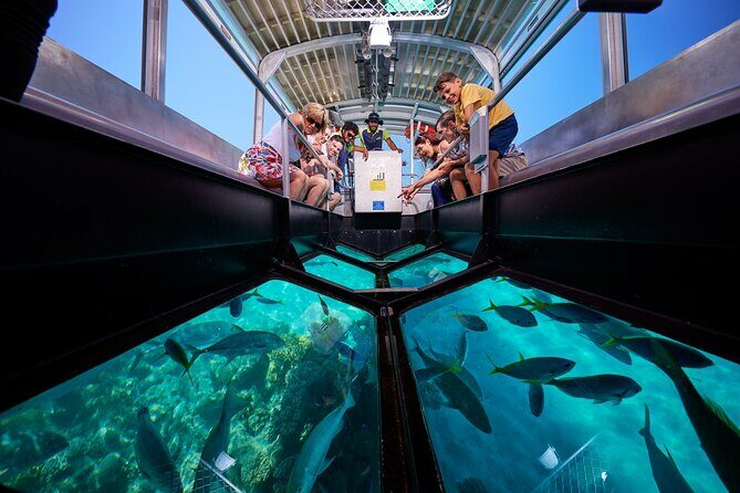 Explore Green Island with Diving options from Cairns - Who Should Consider This Tour?