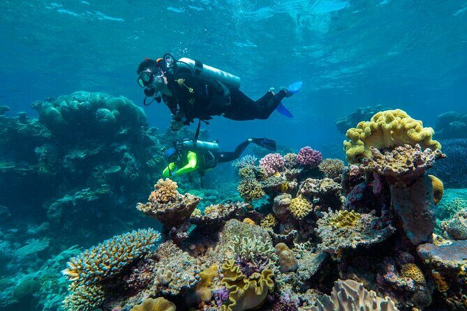 Explore Green Island with Diving options from Cairns - The Sum Up: Why Choose This Tour?