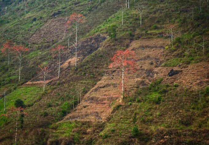 Explore Ha Giang Loop With 2 Days and 1 Night - Breathtaking Landscapes