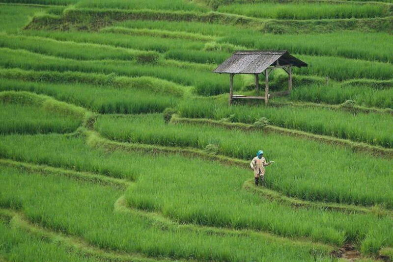 EXPLORE HA GIANG - MA PI LENG - NHO QUE RIVER 3 DAYS 2 NIGHTS - Key Points