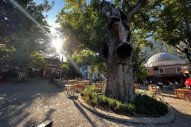 Explore Hidden Gems of Marmaris and Peninsula - Orhaniye - Walking on Water