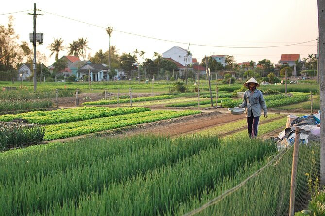 Explore Hoi an City or Da Nang City With Local Guide - Customizable Tour Experience