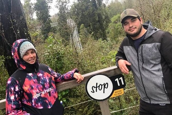 Explore Hokitika Gorge and Tree Top Walkway - Personalized Attention