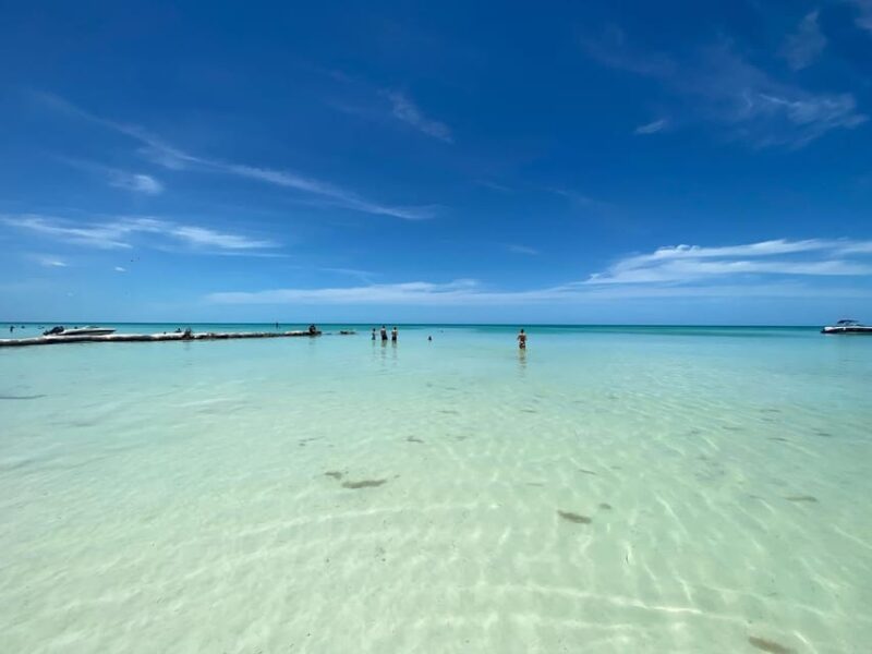 Explore Holbox Plus+Cenote - Experience Highlights
