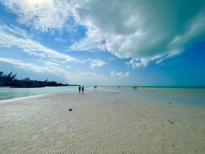 Explore Holbox Plus+Cenote - Included and Excluded Items