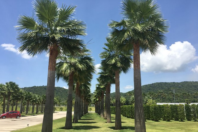 Explore Hua Hin and Surroundings With Private Guide for Half Day - Experienced and Knowledgeable Guides