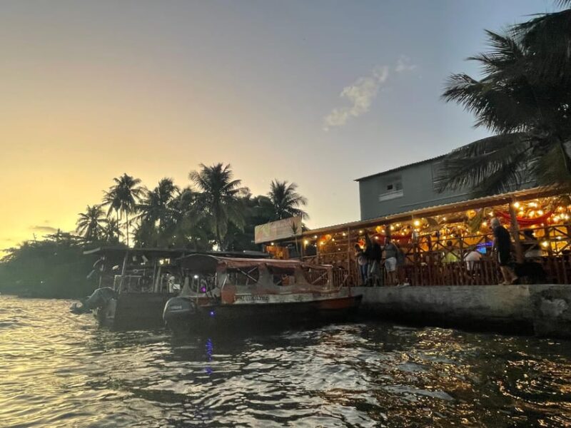 Explore Ilha Da Gigoia: an Island Adventure - Key Points