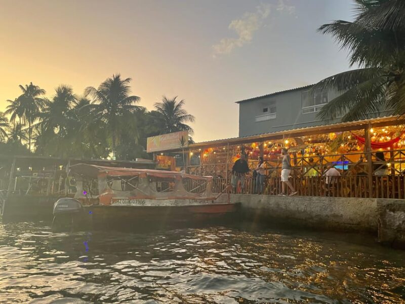 Explore Ilha Da Gigoia: an Island Adventure - Wildlife Observation Boat Cruise