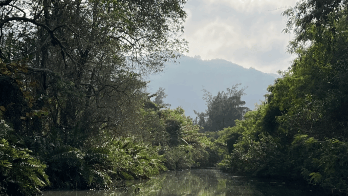 Explore Ilha Da Gigoia: an Island Adventure - Traveler Feedback and Experiences