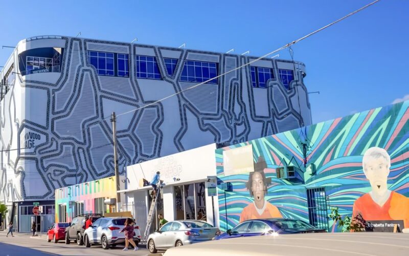 Explore in the Vibrant Art Scene of Wynwood Art Private Tour - Experience Highlights