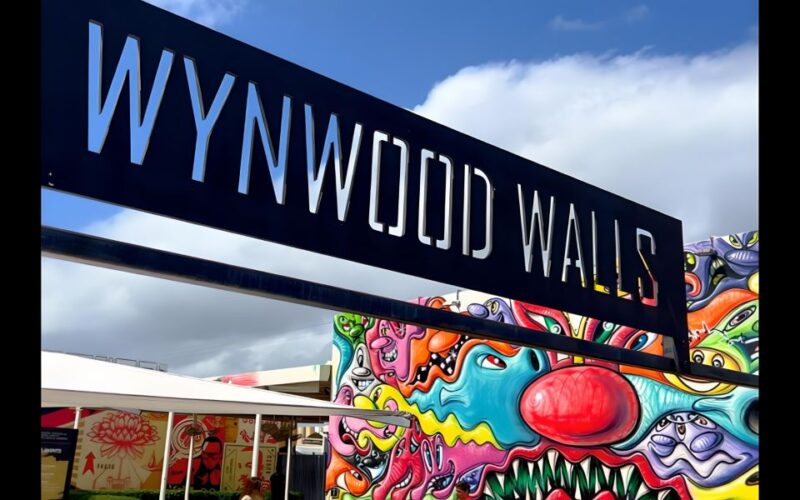Explore in the Vibrant Art Scene of Wynwood Art Private Tour - Transportation and Amenities