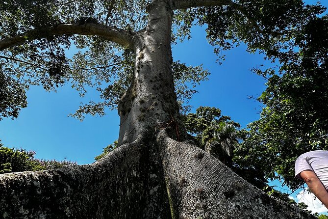 Explore Indigenous Roots With Farm-To-Table Meal and Transport - Traveler Praise and Highlights
