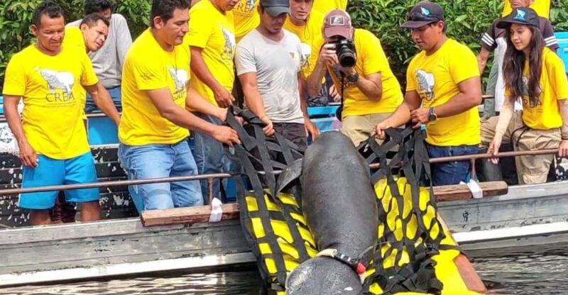 Explore Iquitos 3D/2N - Day 1: Amazon Rescue Center