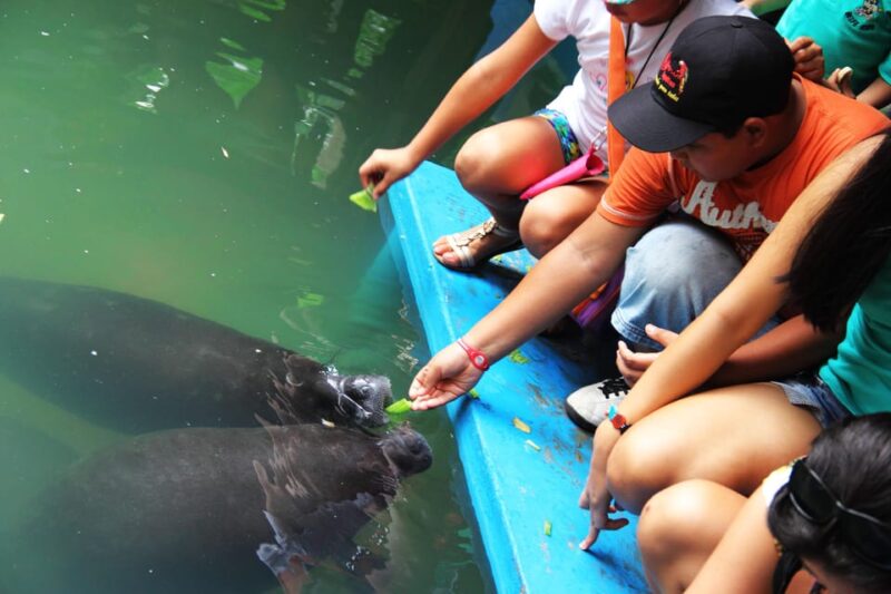 Explore Iquitos 3D/2N - Day 1: Lodge Experience