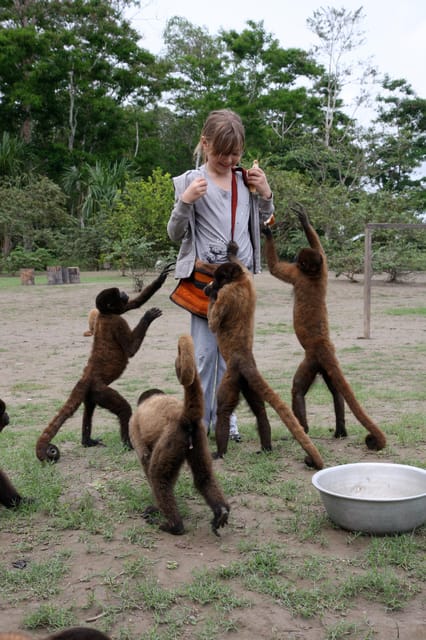 Explore Iquitos 3D/2N - Day 3: Amazon Reserve