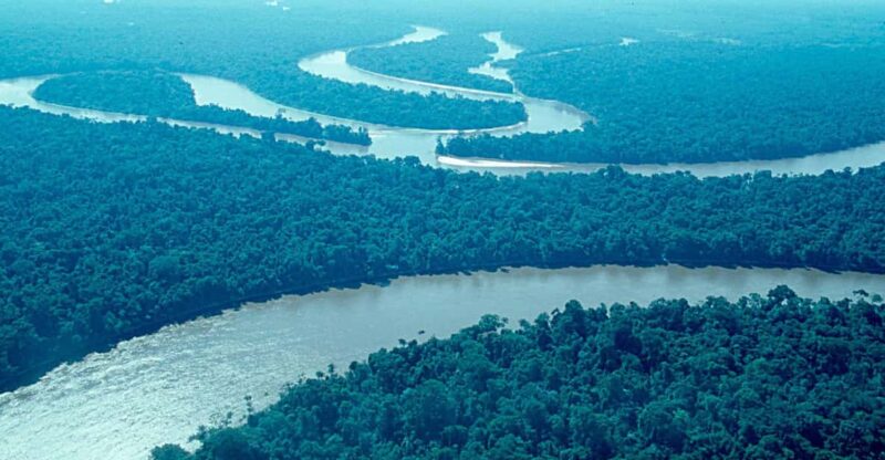 Explore Iquitos in Two Days: Night Tour+Monkeys in Two Days - Itinerary Highlights