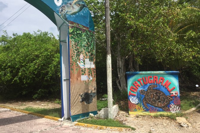Explore Isla Mujeres on a Golf Cart - Accessibility and Group Size