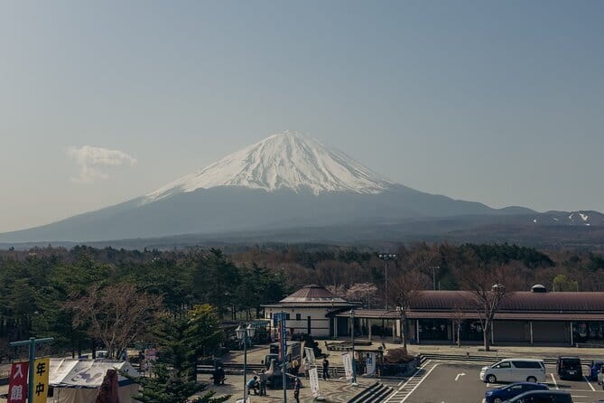 Explore Japan in 15 Days Small Group With a Local Guide - Nara and Osaka Discovery