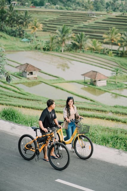 Explore Jatiluwih Rice Terrace Using Electric Bike - Key Points