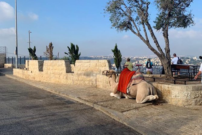 Explore Jerusalems Old City - Accessibility Considerations