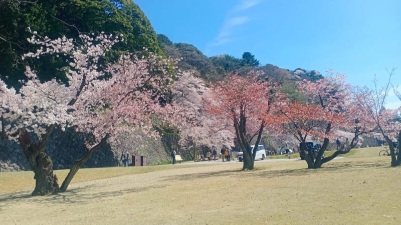 Explore Kanazawa in Three Hours - Tour Highlights and Inclusions