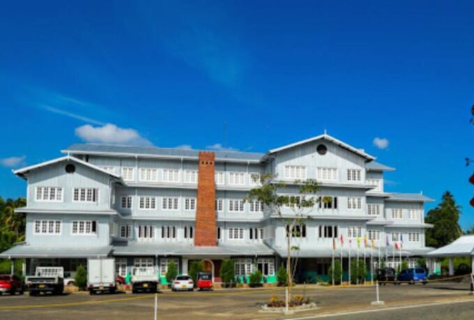 Explore Kandy, Pinnawala, and Tea Plantation From Kandy - Transportation and Services