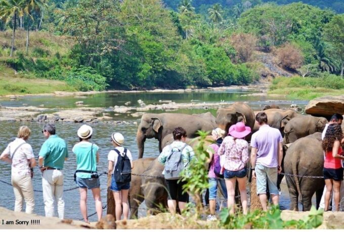 Explore Kandy, Pinnawala, and Tea Plantation From Kandy - Entrance Fees and Additional Costs
