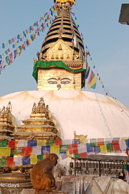 Explore Kathmandu: 4 Heritage Private Tour With Wine Tasting - Frequently Asked Questions