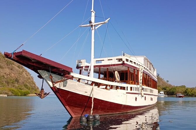 Explore Komodo and Swim With Whale Sharks - Customer Experience and Reviews
