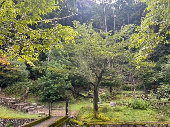Explore Kyoto: E-Bike Adventures Through Timeless Beauty - Meeting Point Details