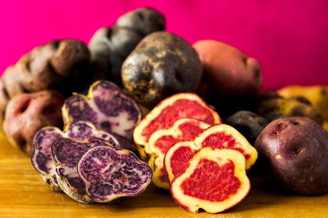 Explore Lima With Ceviche and Pisco Classes in the Historic Center - Local Market Visit