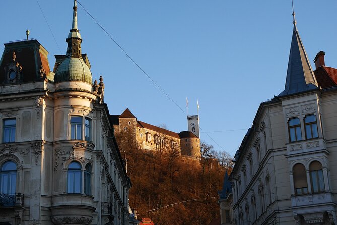 Explore Ljubljana'S Art and Culture With a Local - Experience Highlights