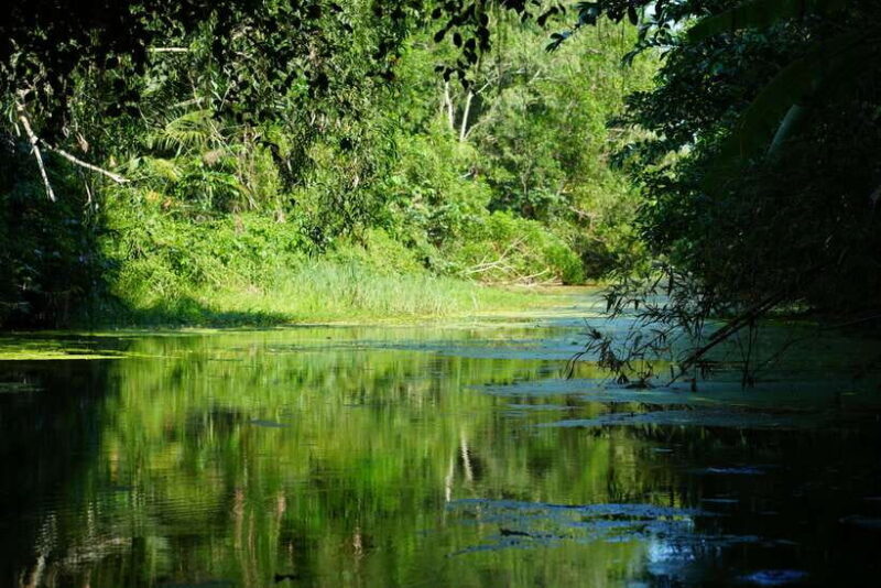 Explore Lung Ngoc Hoang in Hau Giang - Enjoy Stunning Scenery and Authentic Mekong Cuisine
