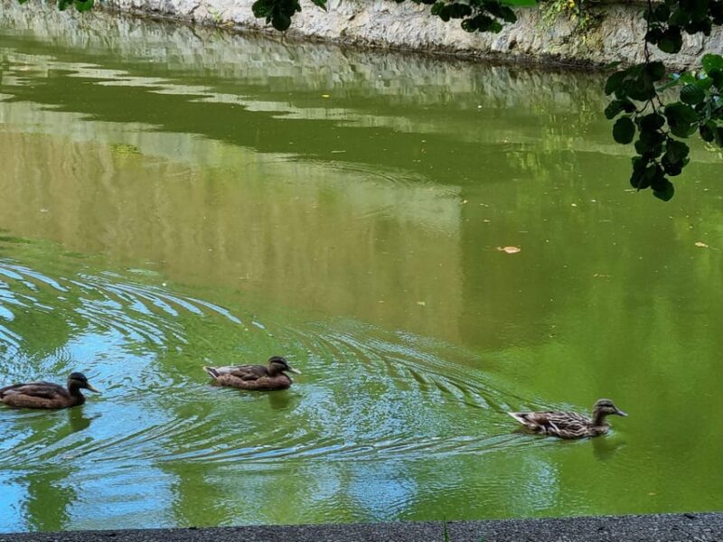 Explore Maksimir - a Beautiful Park in Zagreb - Meeting Point and Directions