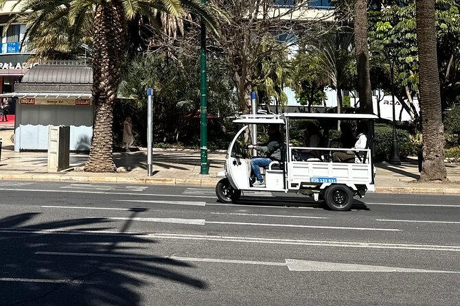 Explore Malaga by TukTuki : Essentials and Private Tour - Meeting and Pickup Information